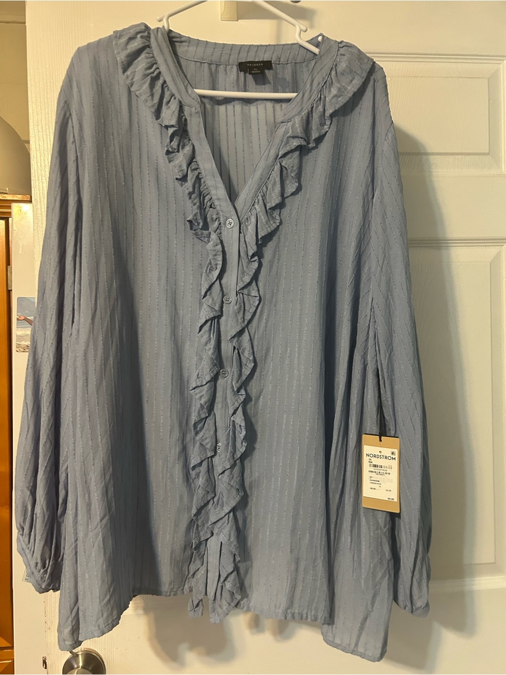 Nordstrom Light Blue Ruffle-Front Women's Blouse